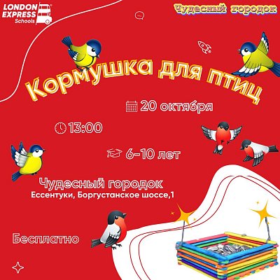  Мастер-класс по созданию кормушки для птиц 🐦🌟